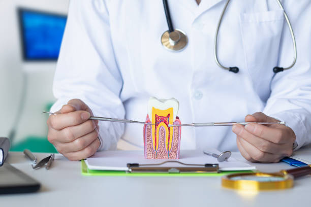 Best Emergency Dental Care for Trauma or Injury in Mccormick, SC